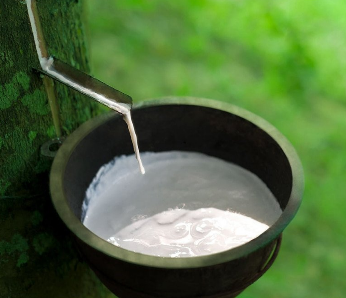 Cork Material Yoga Mat, Workout mat, Patterned Design Cork Yoga Mat,  ECO-Friendly Yoga Mat,Gym Mat