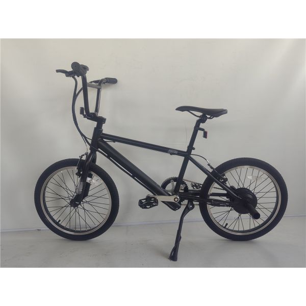 KT Controller 2024 250W 24V 10.4 A PAS Single Speed Electric Bike with Hidden Battery