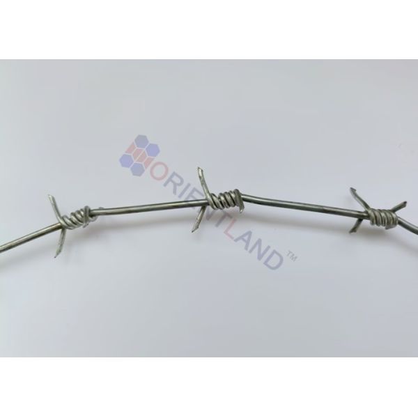 En acier galvanisé à chaud, fil barbelé