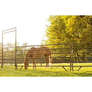 Corral Fence