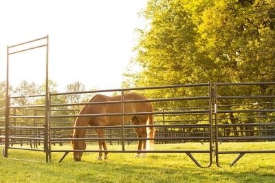 Portable Corral Fence Galvanized Cattle Yard Horse Fence Panel Livestock Panels