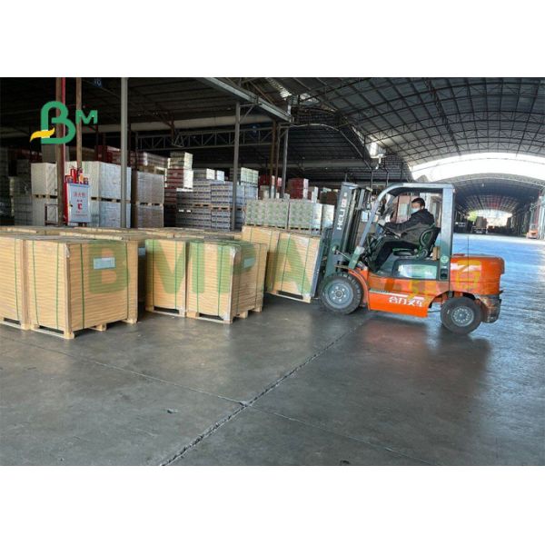 300gsm 350gsm Food Grade 1 Side PE Coated Paper Board  For Disposable Paper Bowl