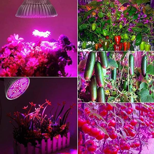 E27 100w Led Grow Light Full Spectrum Lamp Bulb For Veg Flower