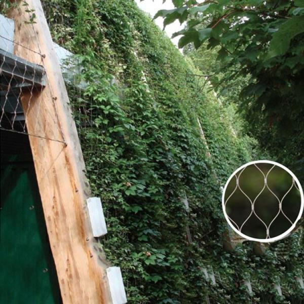 Flexible Plant Climbing Net SS316 Green Wall  7X7 Wire Rope Plant Trellis