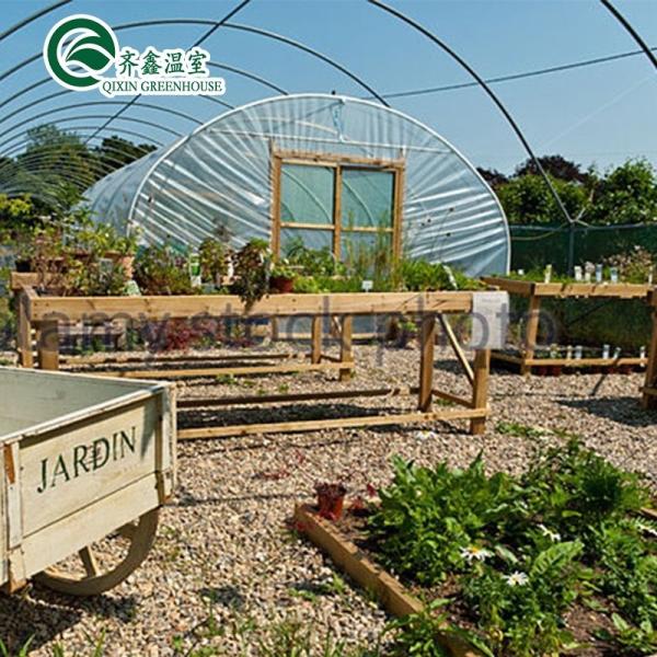 Single Span Greenhouse Mushroom Growing Equipment Covered with Transparent Plastic Film
