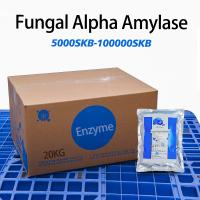 10000SKB Enzymes pour l'industrie de la boulangerie pour augmenter le volume du pain Alpha-amylase fongique