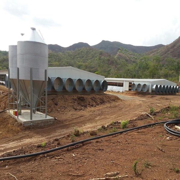 O silo animal do gado do GV do CE alimenta o escaninho 2750mm Dia For Poultry Farming