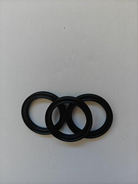 Cayenn Oil Seal
