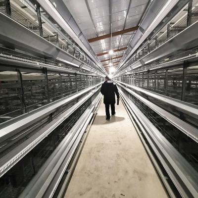 Клетка h цыпленка батареи сельского хозяйства птицы слоев печатает ярусы 4Tiers