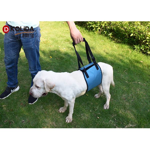 Red / Green Dog Body Harness Lift Help Sling Disabled Pet Support Vest