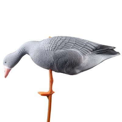 Grey Color Hunting Foam Goose Decoys XPE Russian Goose 3D Type 3 - Resting Standing And Eating