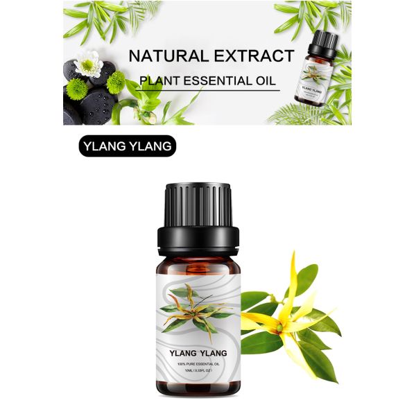 10ml Organic Pure Home Fragrance Essential Oils Ylang Ylang Brand OEM COA
