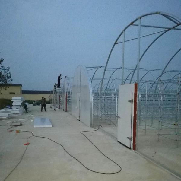 Heat Preservation Heavy Duty Plastic Greenhouse With Customized Length