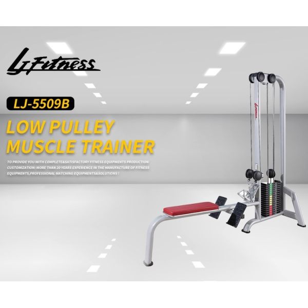 Home Gym Life Fitness Strength Equipment , Oval Tube Low Pulley Machine