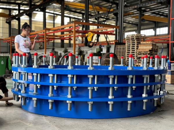 ms dismantling joint dn100 dn250 dn300 Galvanized Carbon Steel Single Flange Limit Expansion Ductile Iron