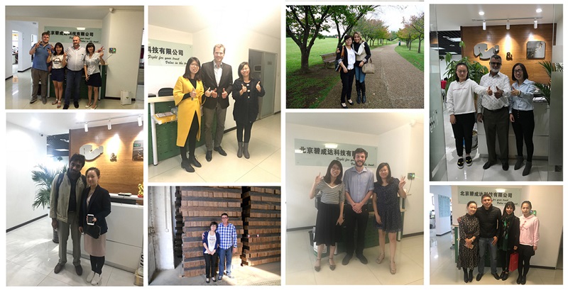 Экологически чистый и долговечный бамбуковый пол с сертификацией SGS