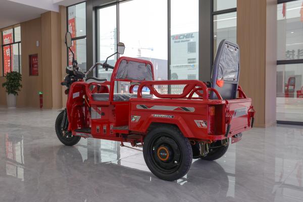 800w Passenger Electric Tricycle With Back Seat Foldable Safety Guardrail