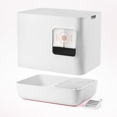 Open Top Small Cat Litter Box Indoor Easy Clean Rectangular Shape ABS Design