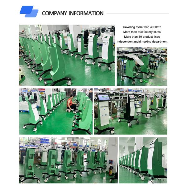 Machine de sculpture du corps de 800W-3500W 10D Laser HIEMT Machine de sculpture du corps pour le resserrement / l' amincissement