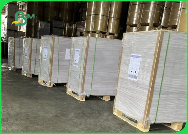 papel de 190mic Matte Polypropylene PP para o cartaz não - 500 * 800mm Tearable