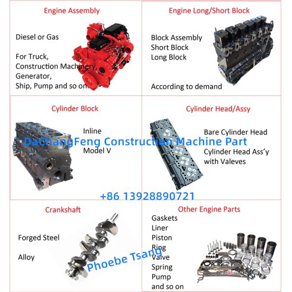 El cigüeñal del motor del modelo K19 forjó el cigüeñal 3096362 para Cummins