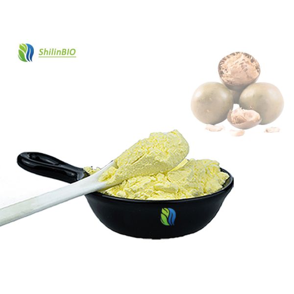 Extracto de Luo Han Guo Mogroside V 25% 50% Extracto puro de fruta del monje en polvo