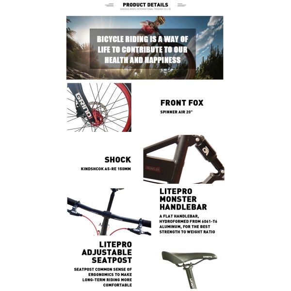 20-дюймовый складный велосипед с 9-скоростным и дисковым тормозом