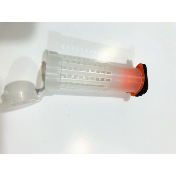 Outil d'apiculture Queen Cell Protector Reine d'apiculture élevage pour système d'élevage d'abeilles