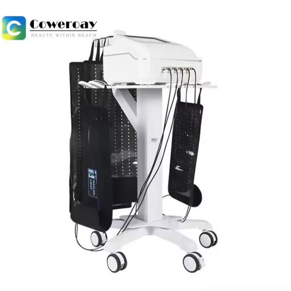 Dual Wavelength Laser Body Slimming Machine 650nm 940nm For Pain Therapy / Weight Loss