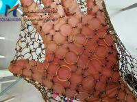 Divisores decorativos do círculo pequeno colorido de Ss201 Ring Mesh Curtain Mixed Large And