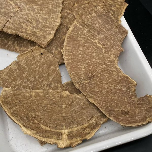 Pure OUD Agarwood resin aromatic natural material ideal for perfume incense and traditional healing product manufacturing