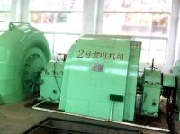 Potente gerador de turbina Francis com corredor de aço inoxidável para geração de energia