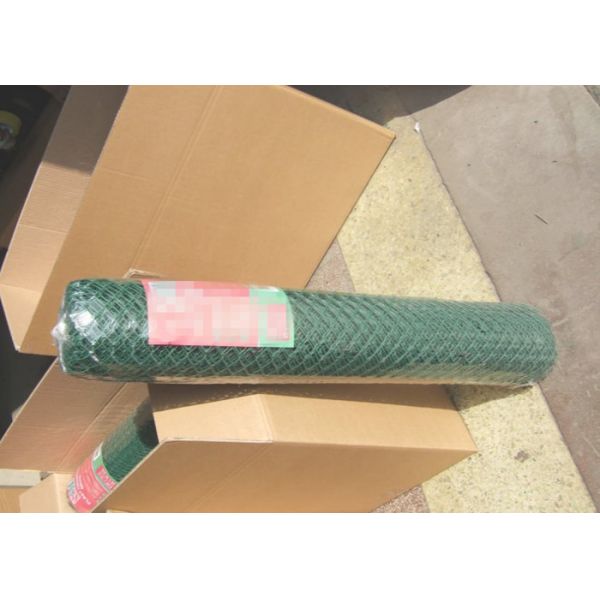 Ageing Resistance Green Plastic Barrier Fencing Mesh Support Plants Available