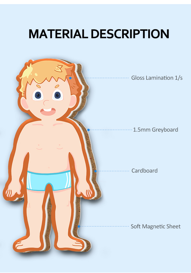 Игры головоломки СТЕРЖНЯ магнитные для человеческих мышц Scheletons органов частей тела уча