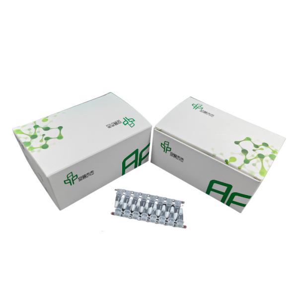 Format Lyophilized In Vitro Diagnostic Test Kits With High Sensitivity