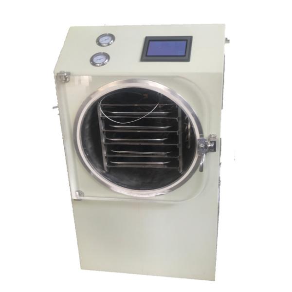 Glass Door Small Freeze Dryer Portable Food Freeze Dryer Low Noise