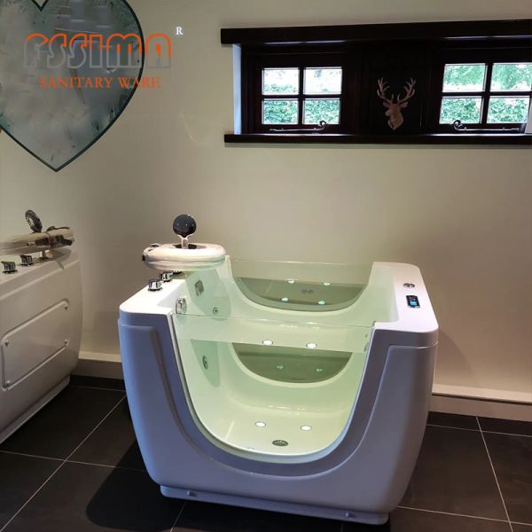 Indoor Baby SPA Bath Tub Tubeless Pump Combo Massage Thermosta with Ozone