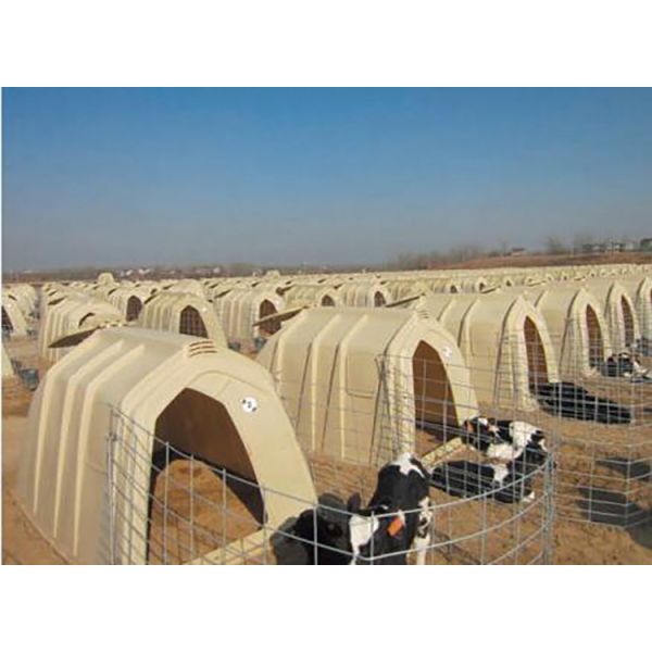 Небольшой Hutch икры группы ширины 333cm доказательства ржавчины для поголовья