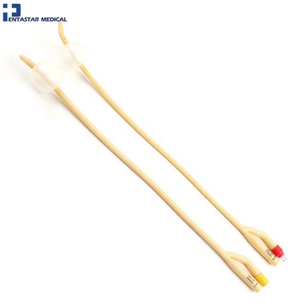 Disposable Urinary Medical Catheter Foley Nelaton Catheter Foley Catheter Kit