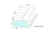 Concevez la cage en fonction du client de batterie de poulet, l'économie 50HZ de travail un type cage de poulet