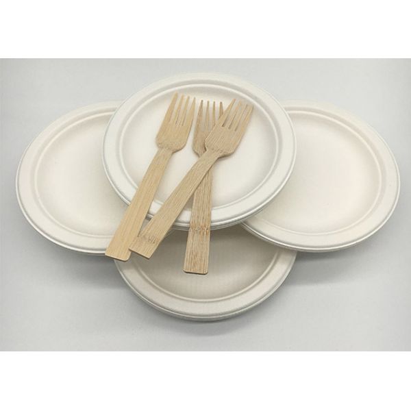 Biodegradable Disposable 6 inch sugarcane bagasse food Round Plates