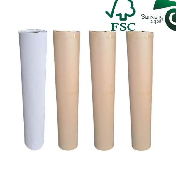 610 mm 620 mm Largeur du rouleau de papier de traceur Pour le papier d'ingénierie CAD Le papier de traceur CAD FSC