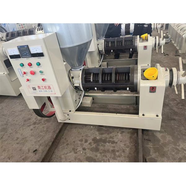 10hp Automatic Oil Press Machine 6YL-100 Hot Press Oil Mill Black Soldier Fly Oil Extraction