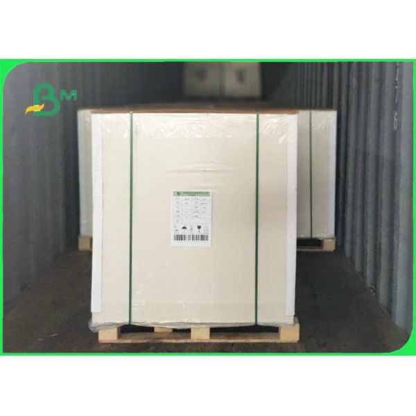 Eco - Friendly White Absorbent Paper 0.5mm - 1.6mm 640mm * 900mm For Coaster