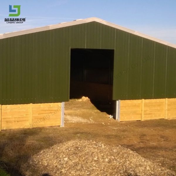 鉄鋼製の建築物 建設 倉庫 建物 駐車場 棚 工房