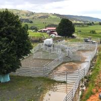 La clôture de ferme galvanisée trempée à chaud résiste à la corrosion