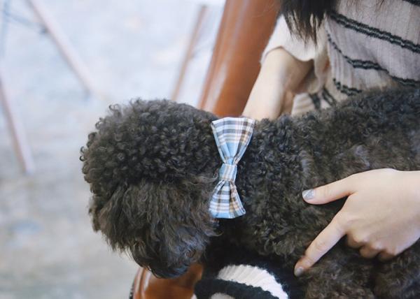 86CM 3 Inch Soft Handmade Cotton dog collar necklace Cats Puppy Bow Tie Collar