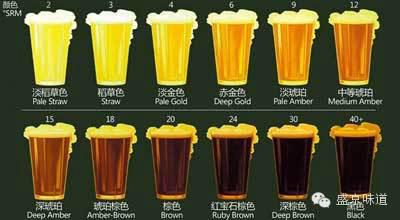 Good Quality Beer Production Equipment/Beer Pump/Beer Fermenter/The Best Beer Equipment in China/Equipment for Making Fr