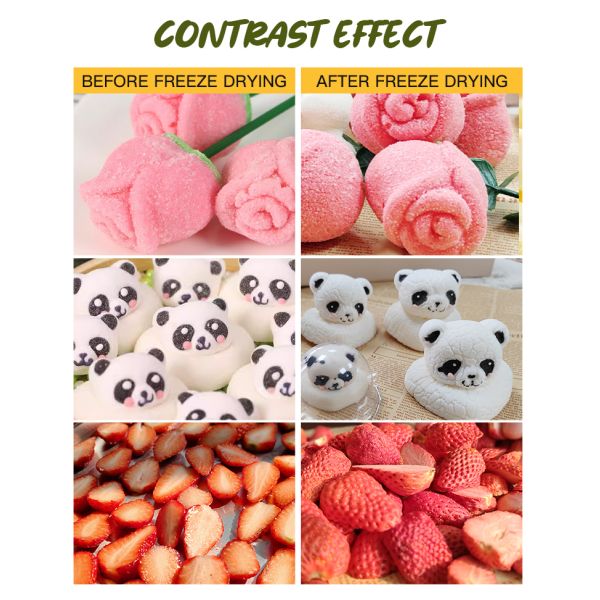 Домашняя машина для замораживания сушеных продуктов с вакуумным насосом для изготовления изготовленных вручную конфет, йогуртных коктейлей