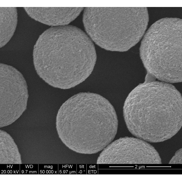 Le polymère magnétite magnétique perle pour Immunodiagnosis 2.8μm 10 mg/ml 50 ml